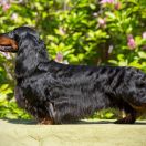 ORLANDO BLOOM Hokus Pokus z Perłowej