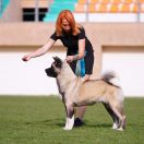 Amfashion Princess Leia