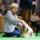 Ch.Puppy.PL J.Ch.PL WANGMO JHAMA The Tibetan Pride (FCI)