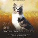 CLOONEY from Fairy Shadows