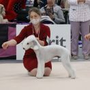 COQUET WATER MORE THAN I CAN SAY