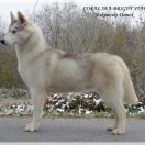 CORAL SEA BRIGHT STAR ESKIMOSKI DOMEK