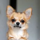 CRYSTAL WIND BEN FOSTER