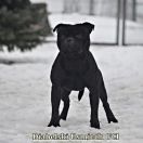 Airy Go Amulet Diabelski Usmiech 