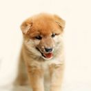 Czarny (kolor znacznika)