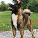 Jiya Finigan of White Bear