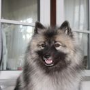 HOLLY von Haus Rubens