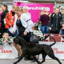 Империя Скорпиона Хельга