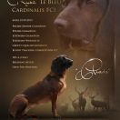 RYSA Le Bleu Cardinalis FCI