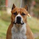 Mł. Ch.Pl Ch. Pl z Grabskiego KEARNEY SOUTH