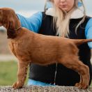 Gorgeus Wind of Love 