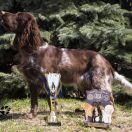 DANAE z Krainy Bocianich Gniazd