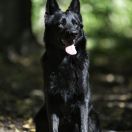 DIRMA Jarkowski Dwór