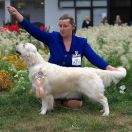 Ch.PL, Zw.PL21 Blue Flower Felix Stella FCI 