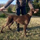 HERA Zwoleńska Ostoja