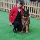 APRIL vom Goldbach Zwinger