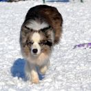 HOLY SMOKE Mystique Regni