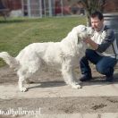 DĄBRÓWKA Athel Loren 