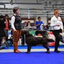 Mildor SOURCE OF THE TARA