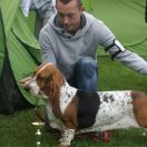 AMNESIA Bursztynowa Aleja FCI