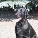 ONE AND ONLY From The Moominvalley