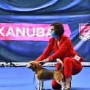 Small Sky HUSH HUSH WILL RUSH