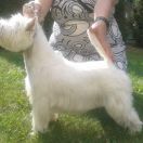 COME CI COME SA z Księżopola 