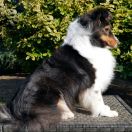 ACROSS THE UNIVERSE Winwinners