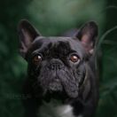 EURO WENDY Extrawitek friends