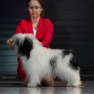 DASZEŃKA Dio Present