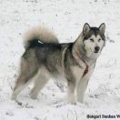 JCh Sungari Sunkan Wakan