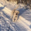 Hedimali’s Diamonds Are For Ever