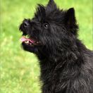 Seglavi YOU'RE MY MIDNIGHT 