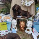 Zolotoy Rodnik Flagman