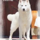 DEEPGLACIER ETHAN FIRE