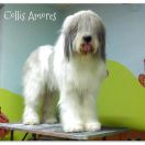 GENEVIEVE de Pont Euxn