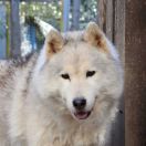 CH INT Torquemada's Xing The Fate