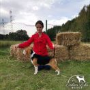 HARLEY-DAVIDSON CAFE RACER Infinity Sun