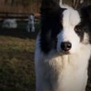 DELOKIS TERRA MICHGAN The Future is Ours 