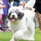 DIUNA Lesedi la Rona