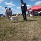 DOLLY Podhalańska Bajka 