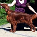 Duma Russella (FCI) Sky Is Not The Limit 