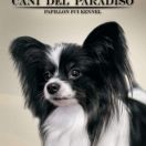 Zora z Sosnowego Kręgu