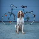 Penelope Di Cascina Croce