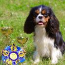 PERFETTA FELICITA ARABELLA VITTORIA