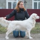 YANGOL MIY AIRIN MELODIA SVITANKU