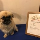 POLLY Catherine Diamonds