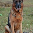 Rauba Del Casa Favore