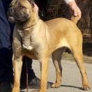 Eudora Empire Of Wisdom 