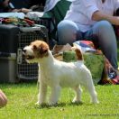 CHPL Z Ledulandu MULHACEN